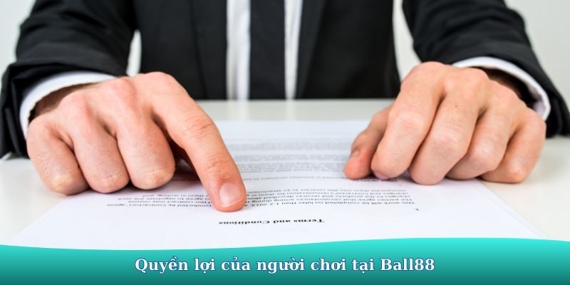 Miễn trừ trách nhiệm